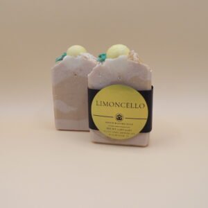juicy watermelon tallow dis honest soap (copy)